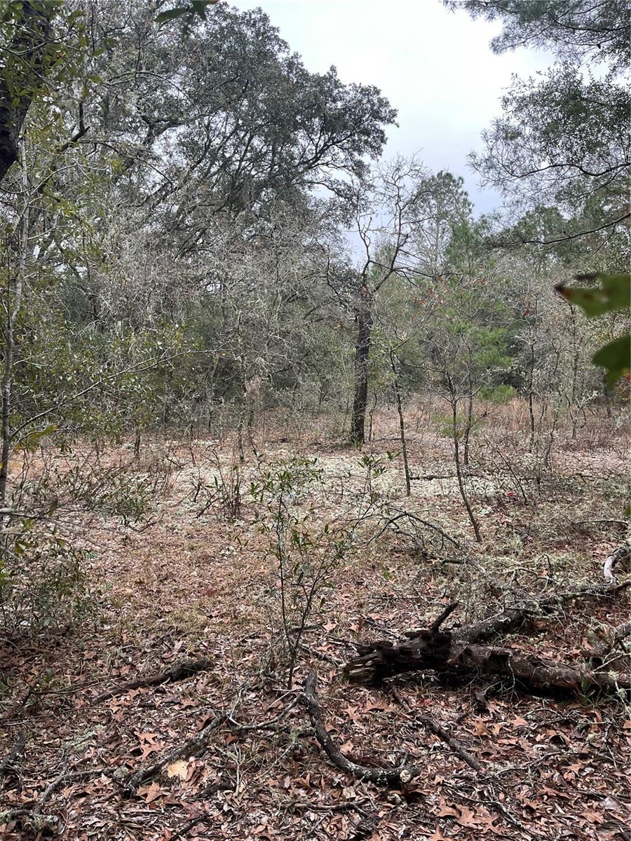 Lot 36 SW MONINES CT, DUNNELLON, FL — photo 5