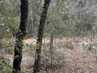 Lot 36 SW MONINES CT — photo 8