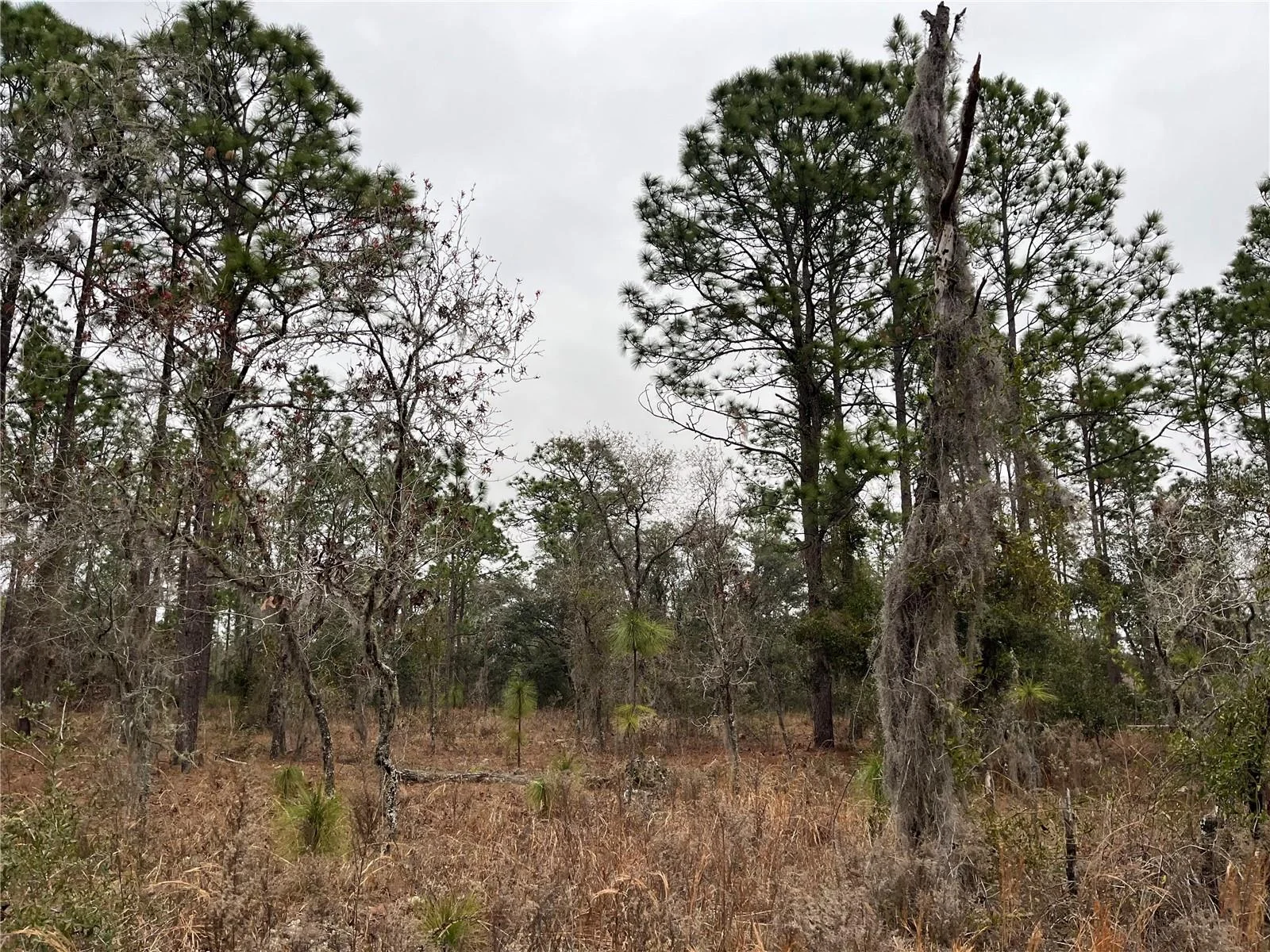 Lot 57 NW SKYLARK ST, DUNNELLON, FL — photo 4