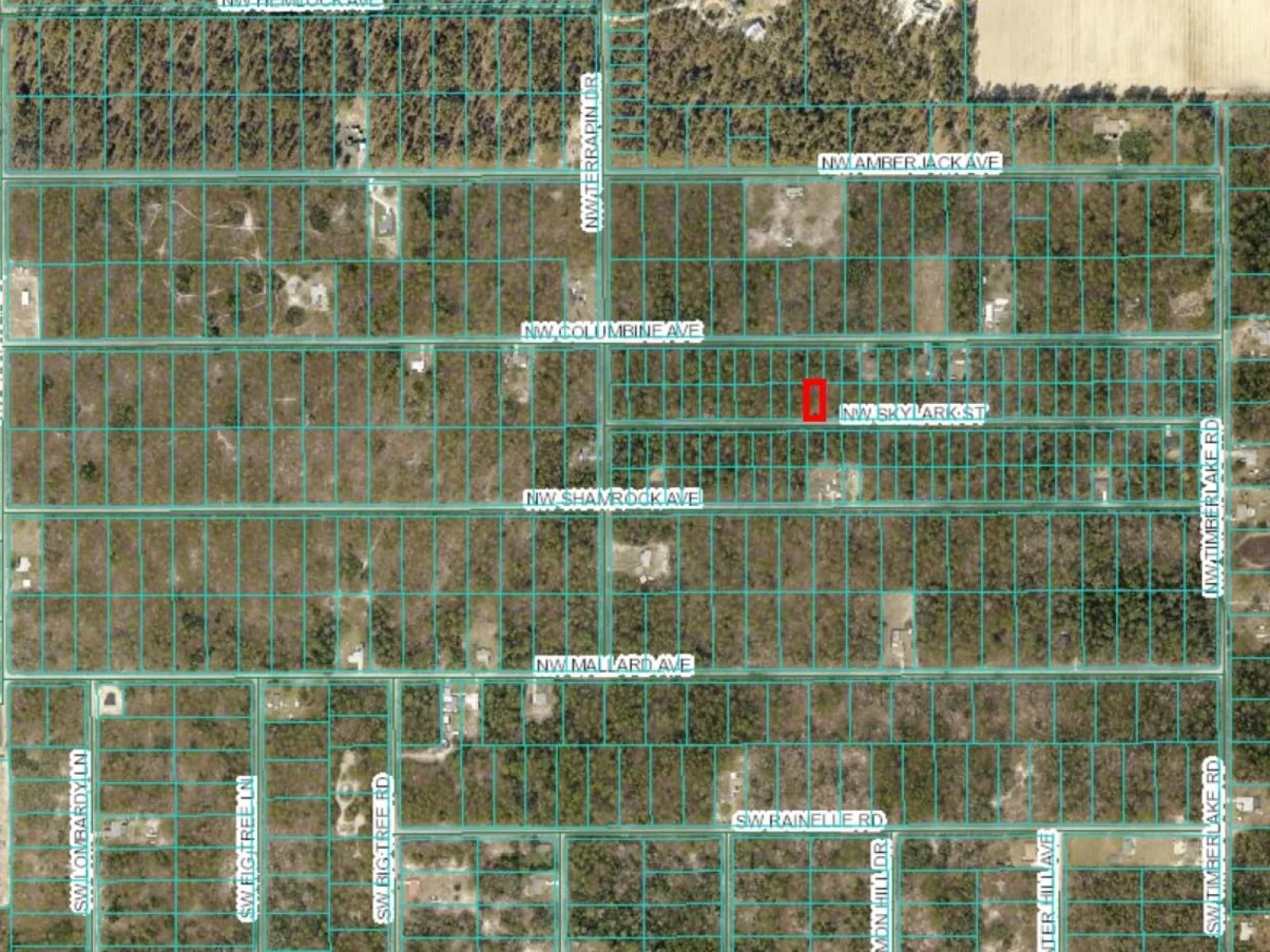 Lot 57 NW SKYLARK ST, DUNNELLON, FL — photo 9
