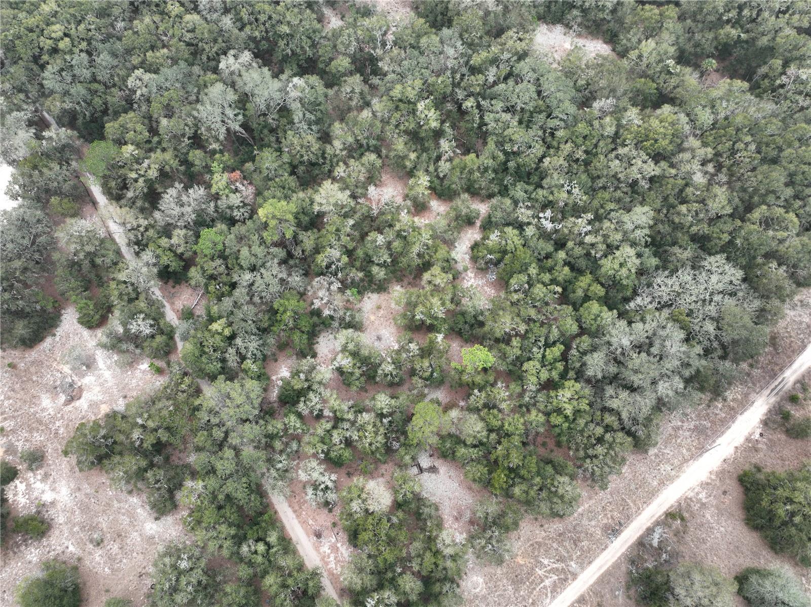 SE 100 ST, OCALA, FL — photo 4