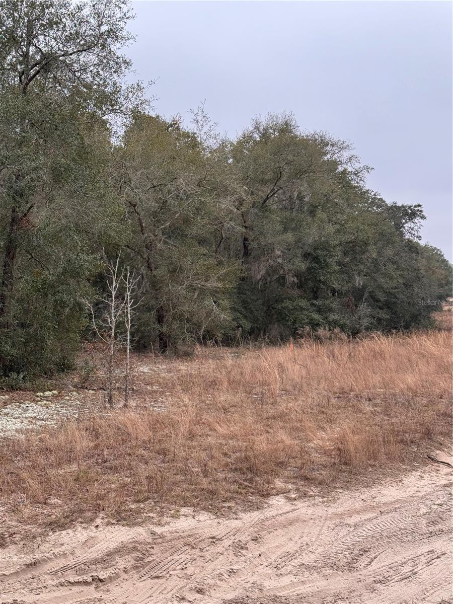 SE 100 ST, OCALA, FL — photo 6