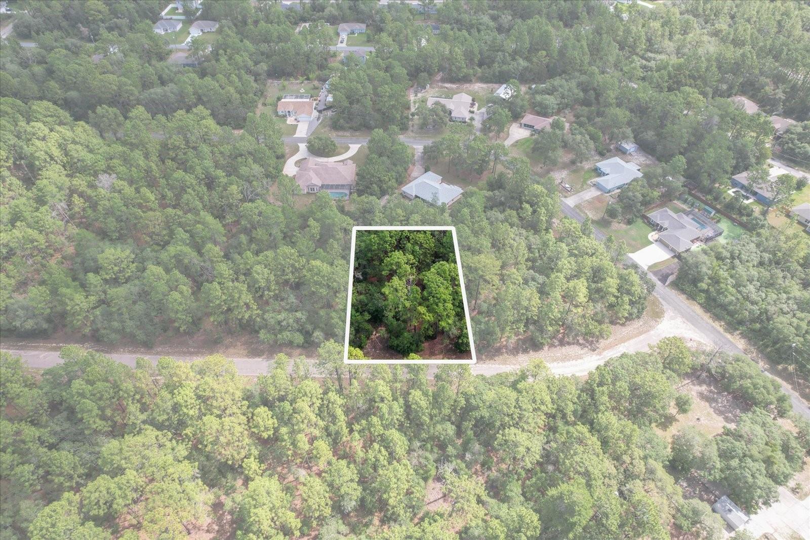3621 W NORWICK PL, CITRUS SPRINGS, FL — photo 2