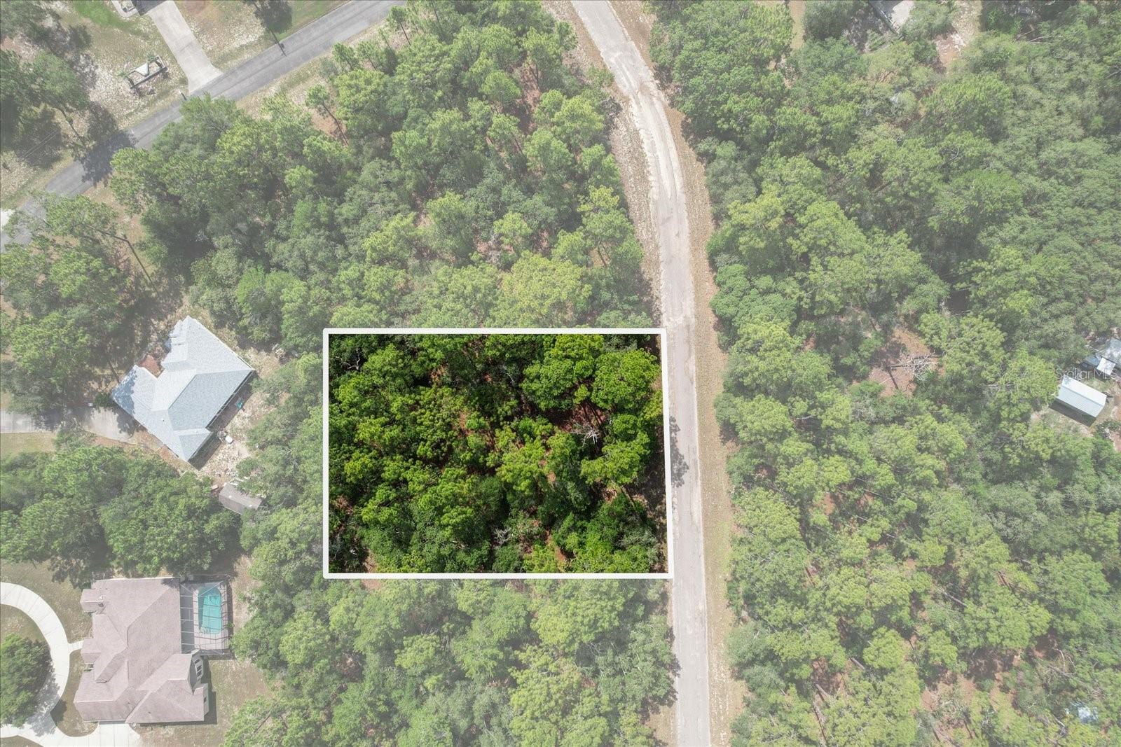 3621 W NORWICK PL, CITRUS SPRINGS, FL — photo 3