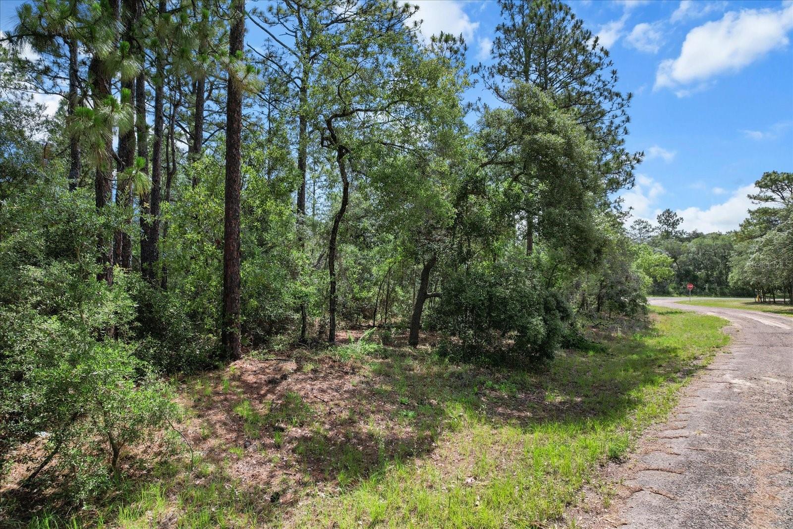3621 W NORWICK PL, CITRUS SPRINGS, FL — photo 4