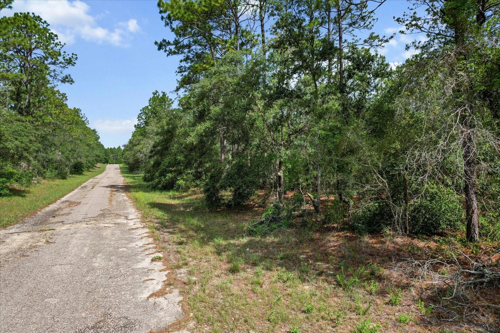3621 W NORWICK PL, CITRUS SPRINGS, FL — photo 5
