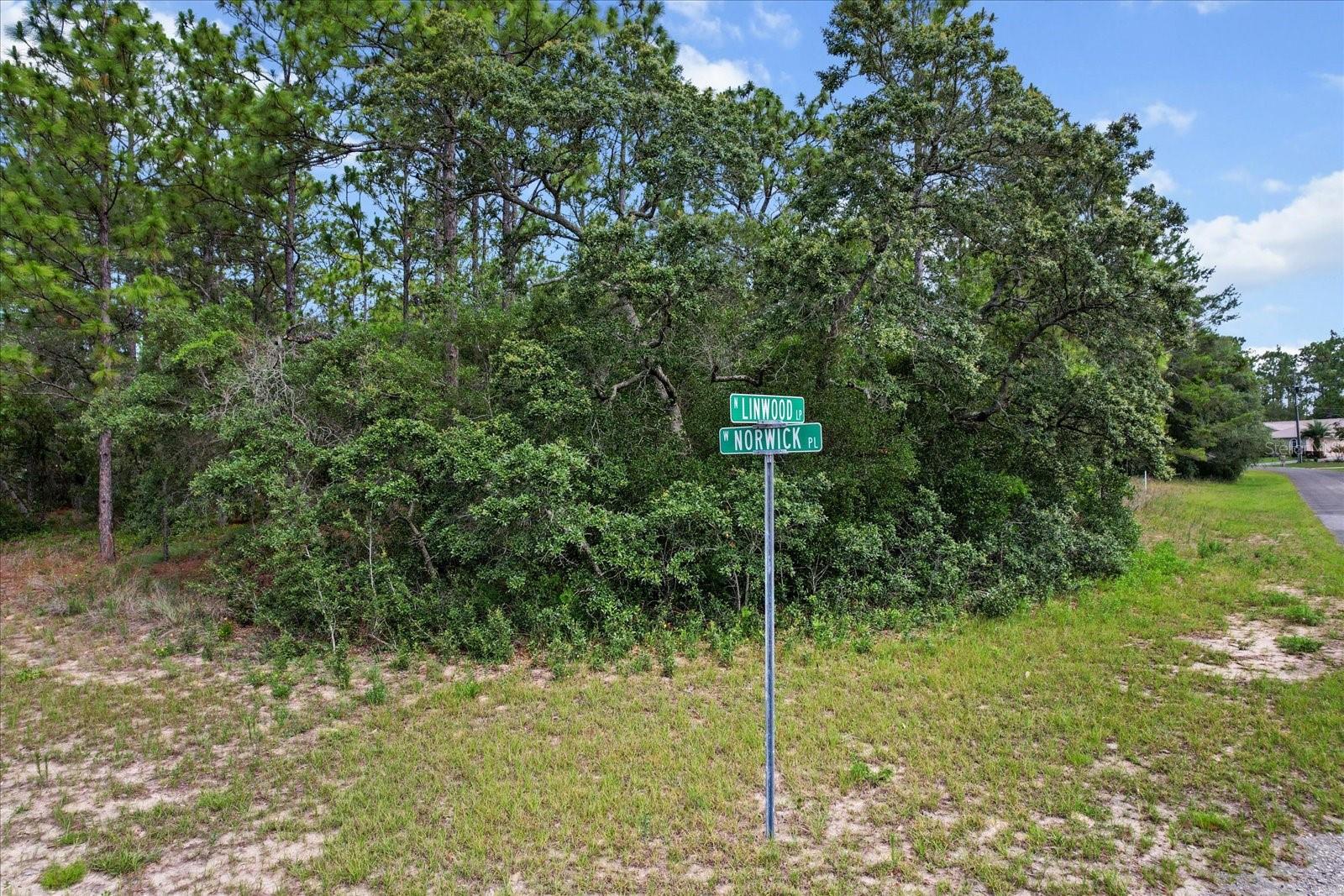3621 W NORWICK PL, CITRUS SPRINGS, FL — photo 7