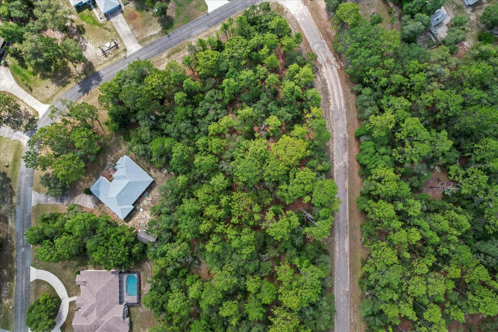 3621 W NORWICK PL, CITRUS SPRINGS, FL — photo 9
