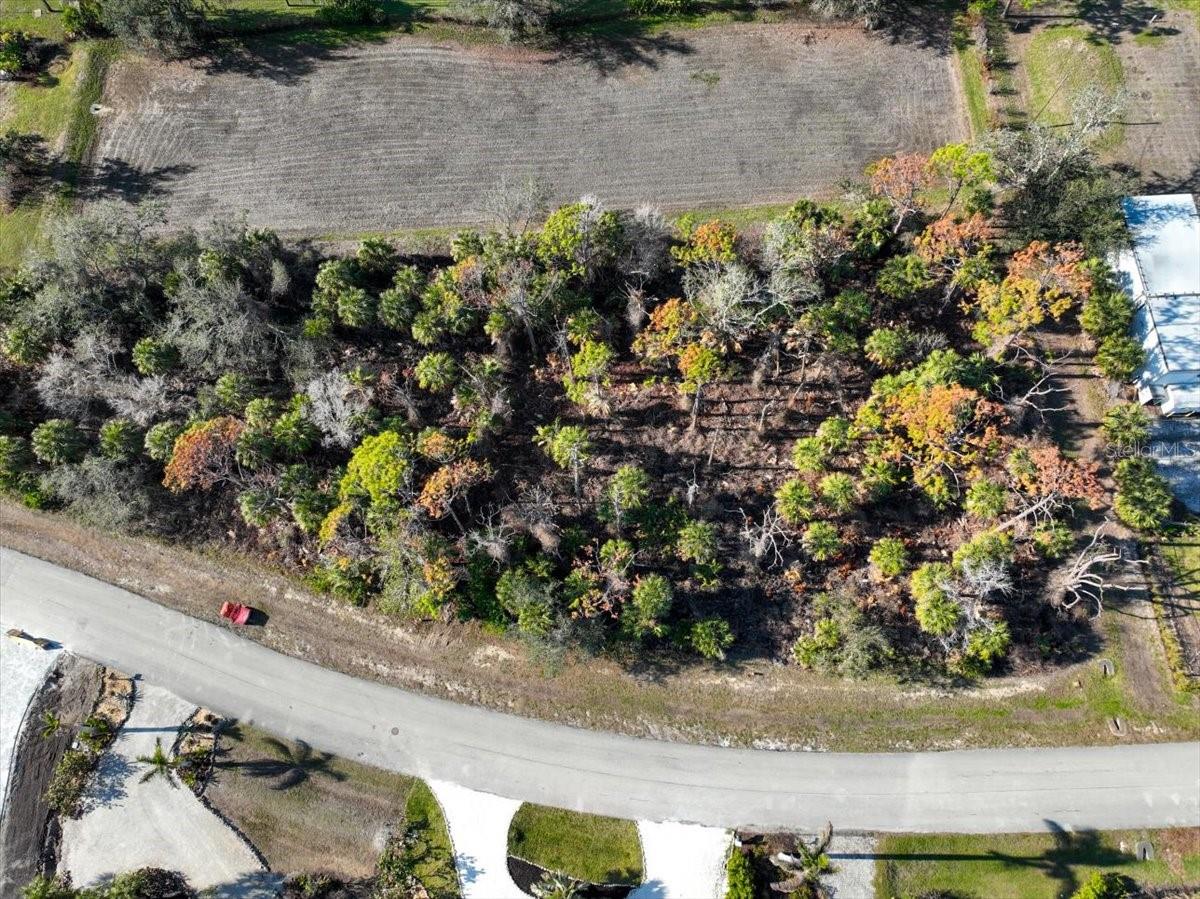 10081 CREEKSIDE DR, PLACIDA, FL — photo 10