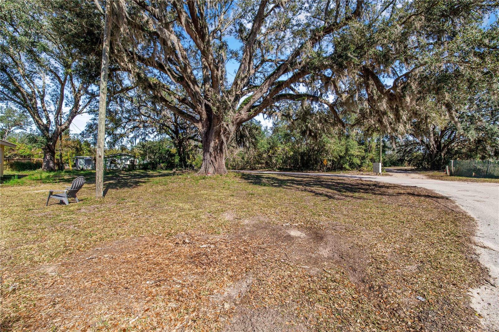 FOUSE AVE, DUNDEE, FL — photo 3