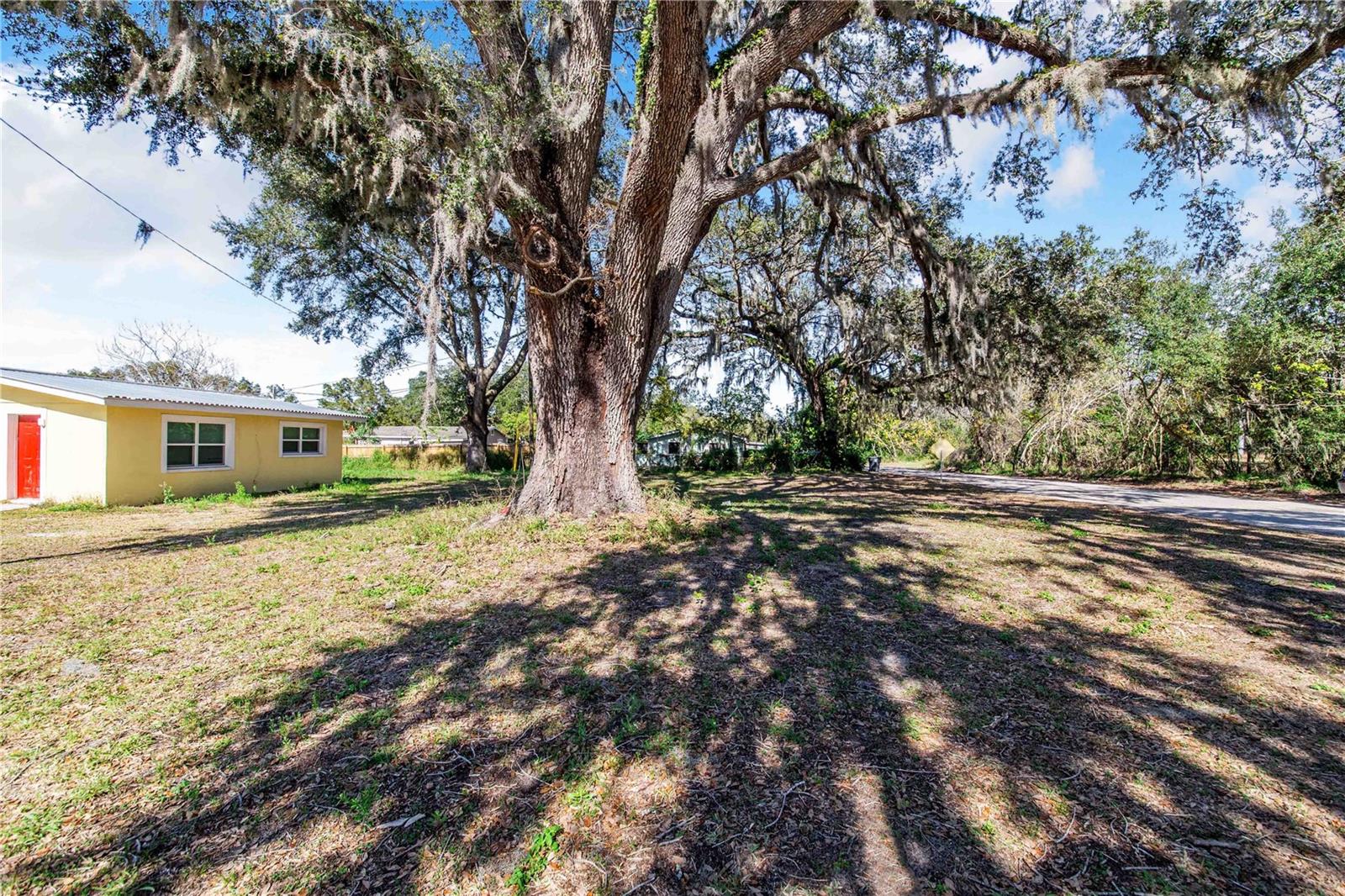 FOUSE AVE, DUNDEE, FL — photo 7