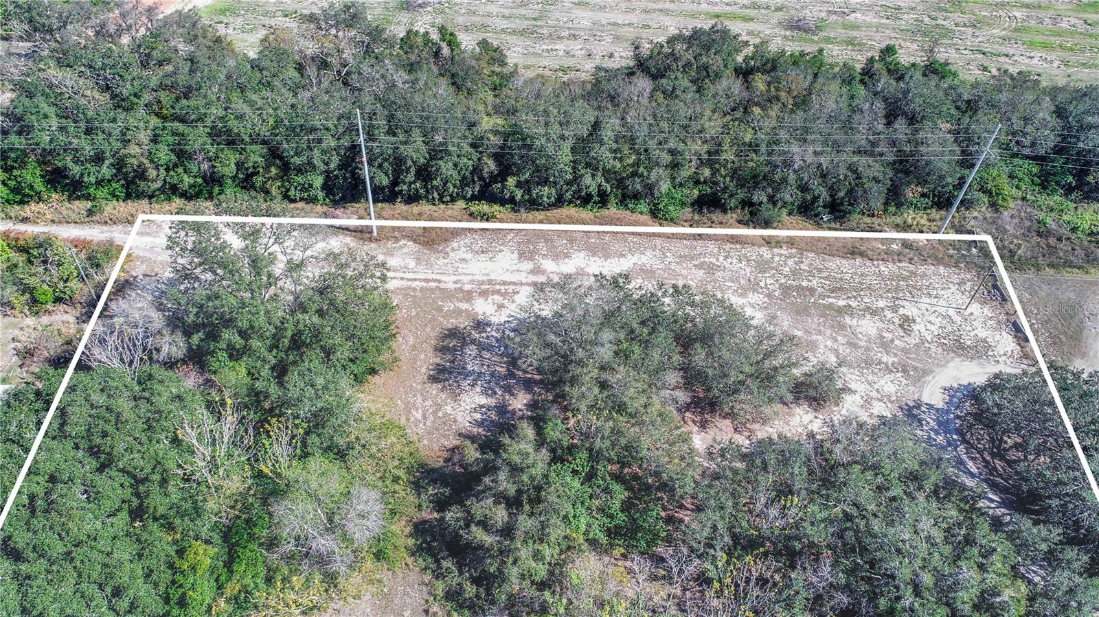 DANIEL ST, DUNDEE, FL — photo 5