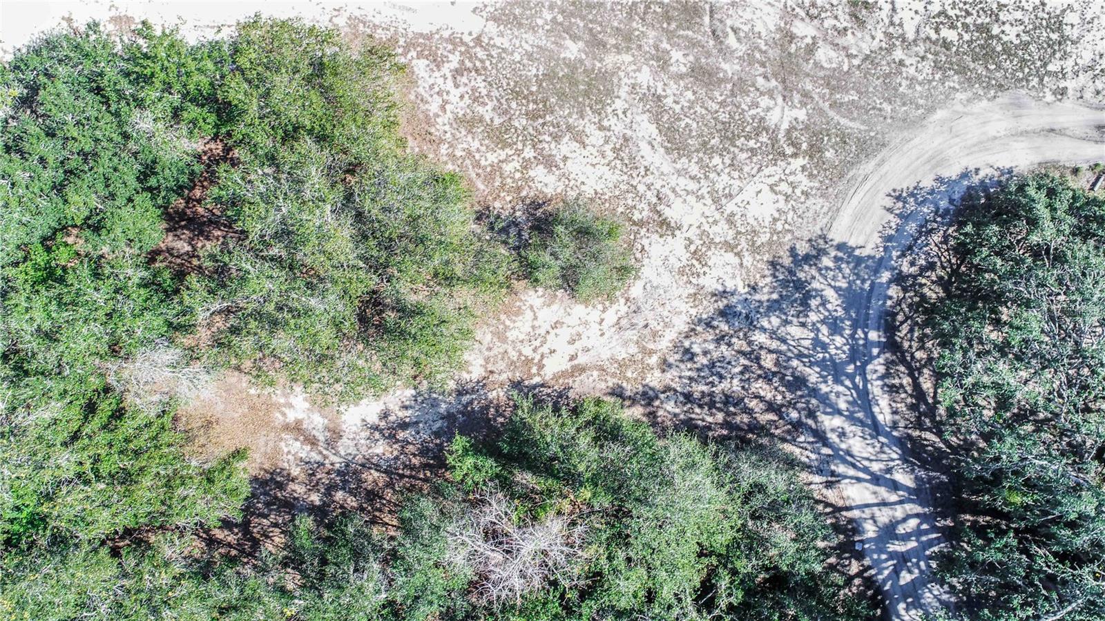 DANIEL ST, DUNDEE, FL — photo 9