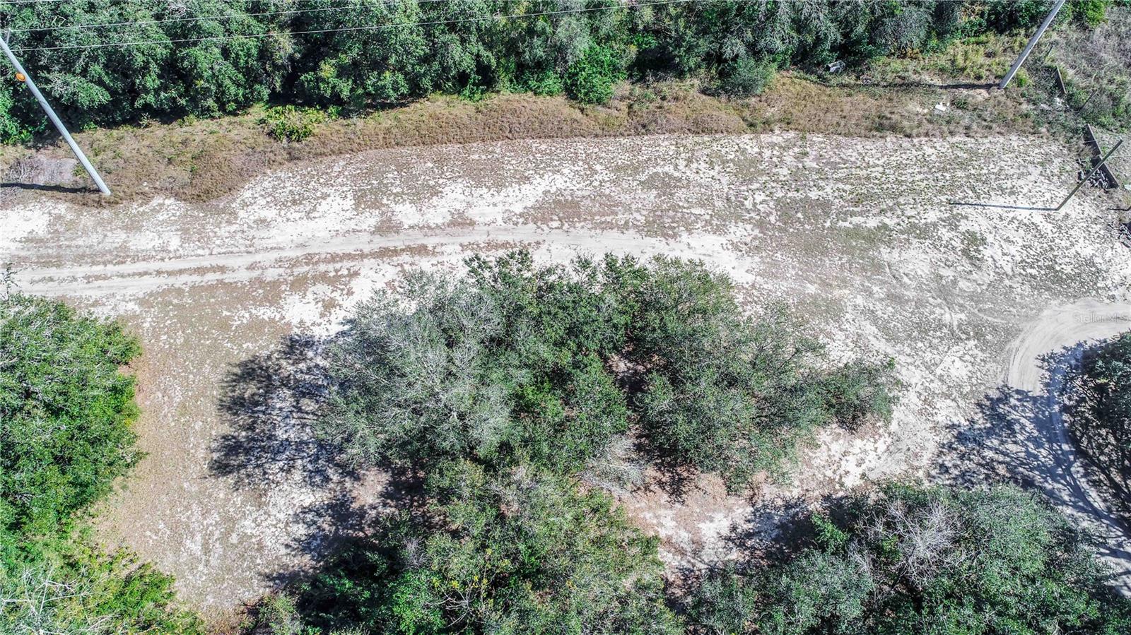DANIEL ST, DUNDEE, FL — photo 15