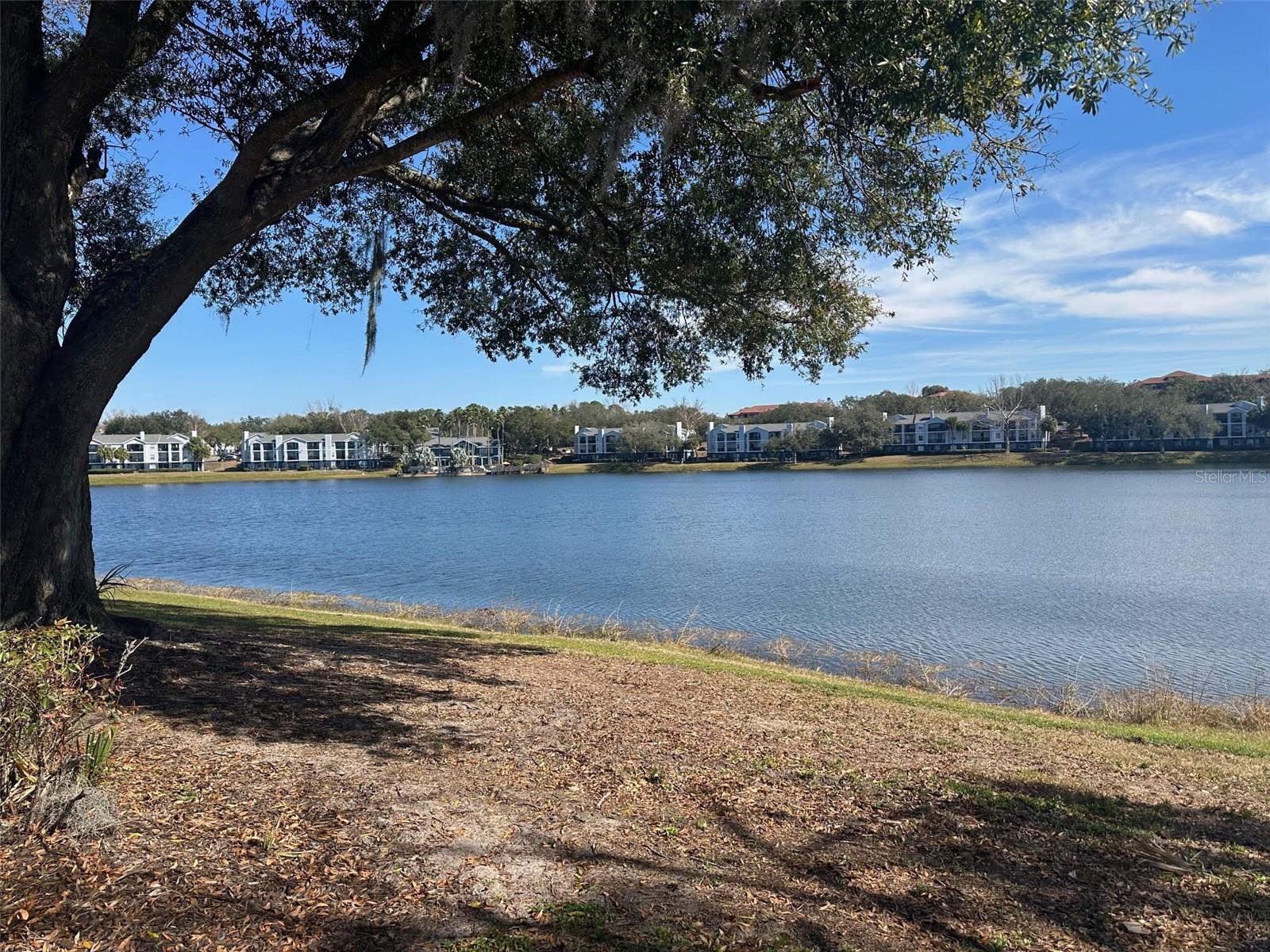 1071 S HIAWASSEE RD #1213, ORLANDO, FL — photo 14