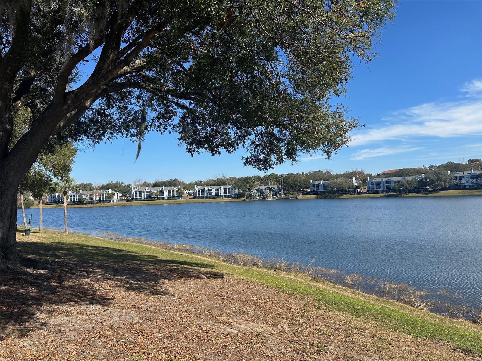 1071 S HIAWASSEE RD #1213, ORLANDO, FL — photo 16