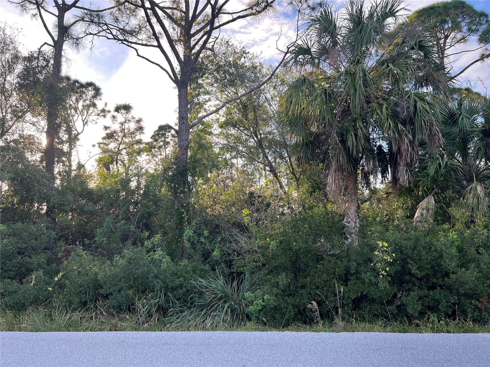 11197 / 11205 PINETRAIL RD, PUNTA GORDA, FL — photo 3