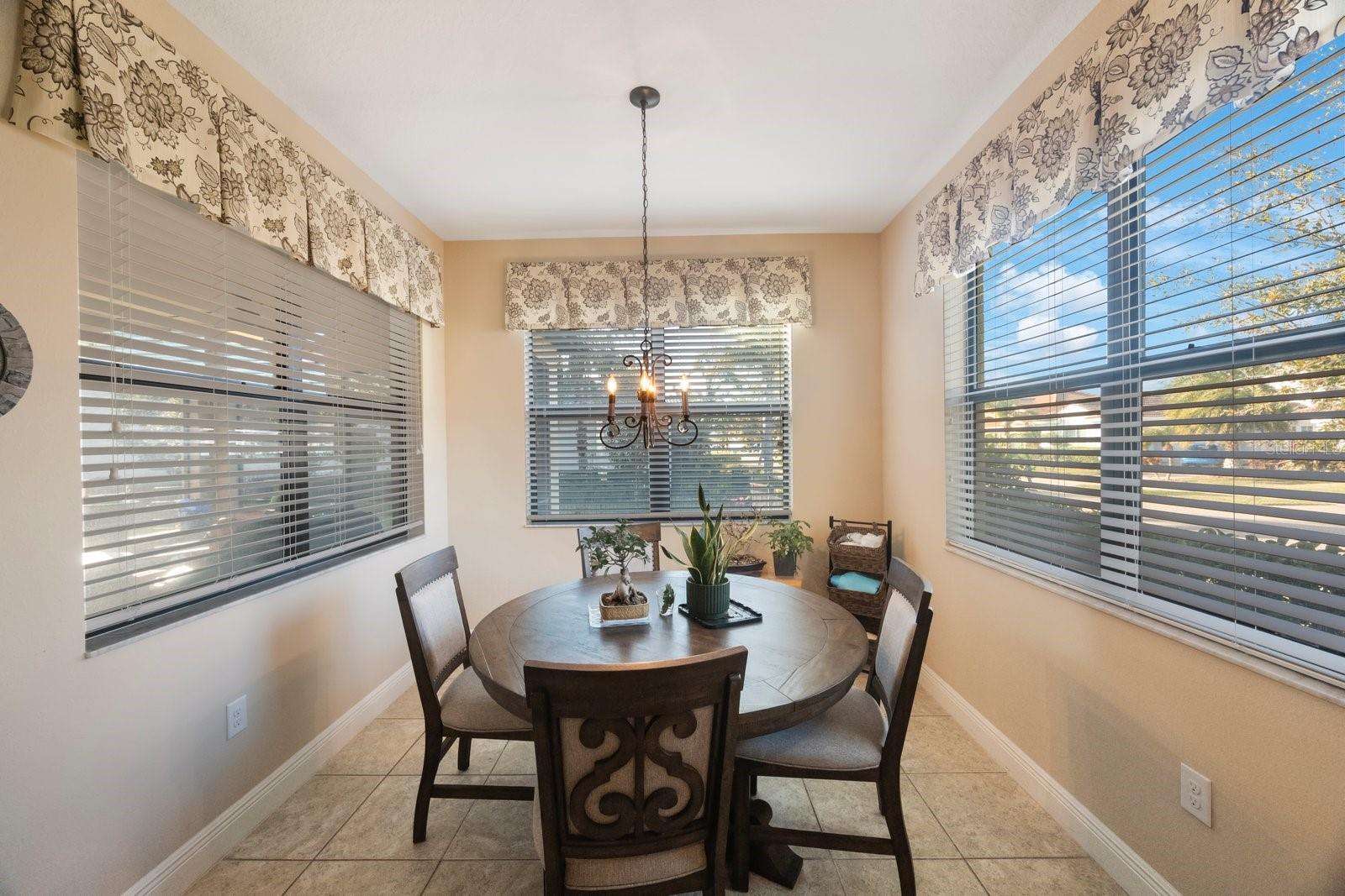 2564 GRAND CYPRESS BLVD, PALM HARBOR, FL — photo 23