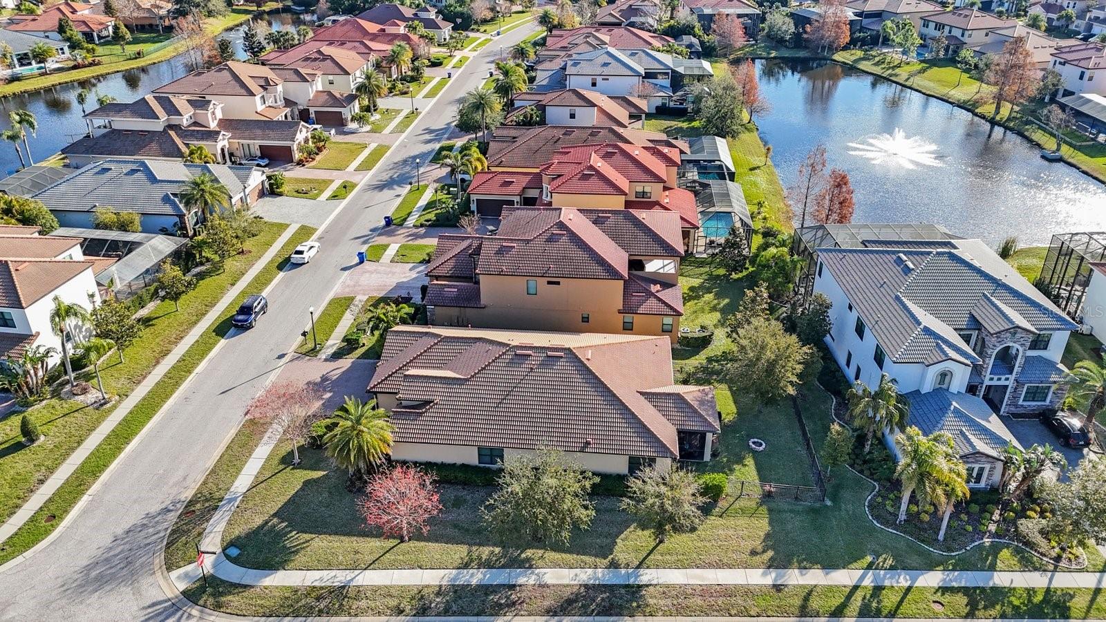 2564 GRAND CYPRESS BLVD, PALM HARBOR, FL — photo 52