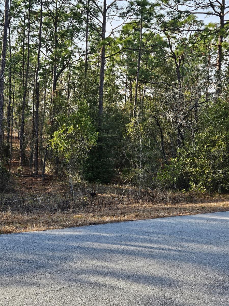 SW ADMIRAL LANDING DR., DUNNELLON, FL — photo 2