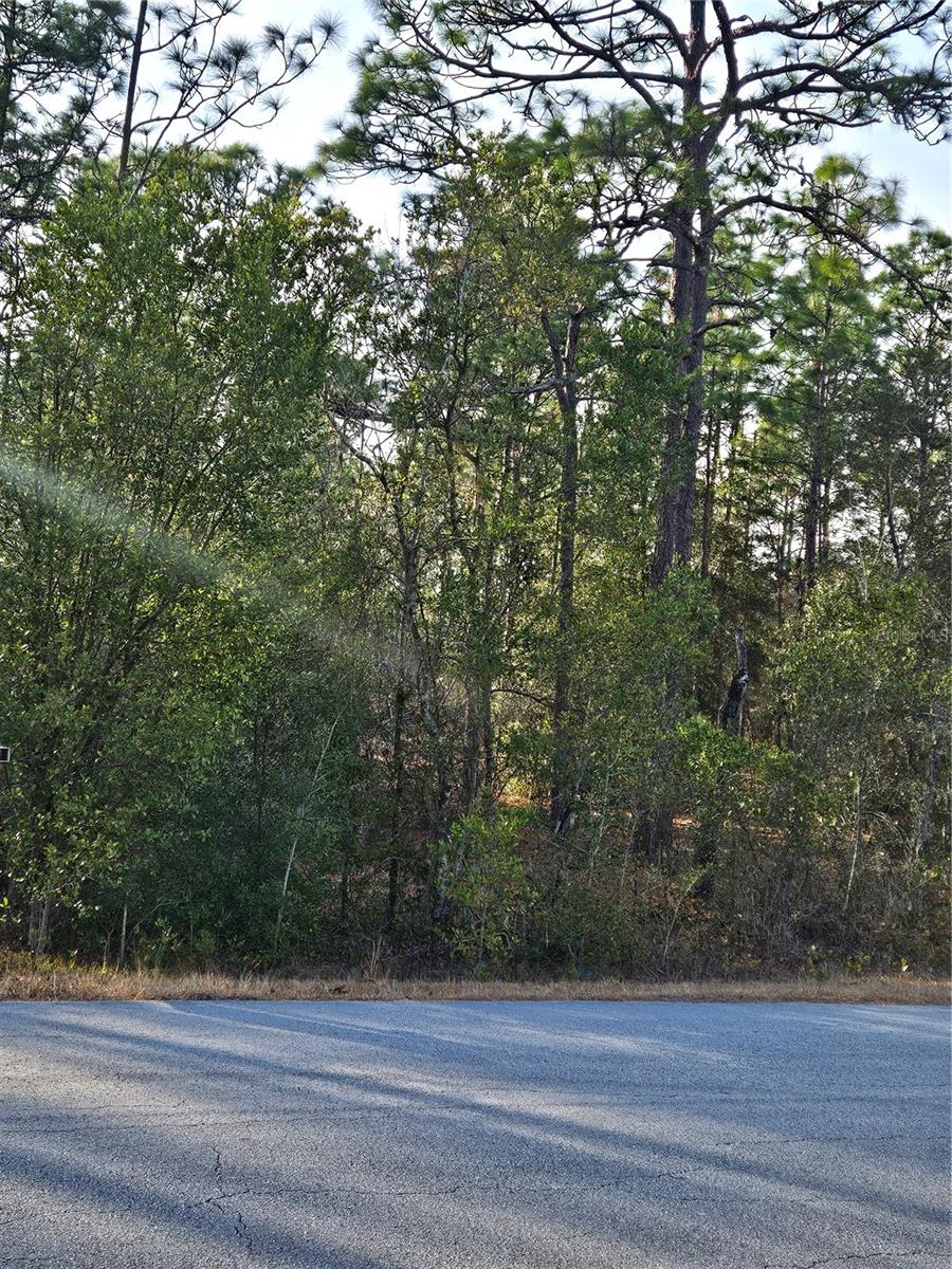 SW ADMIRAL LANDING DR., DUNNELLON, FL — photo 3
