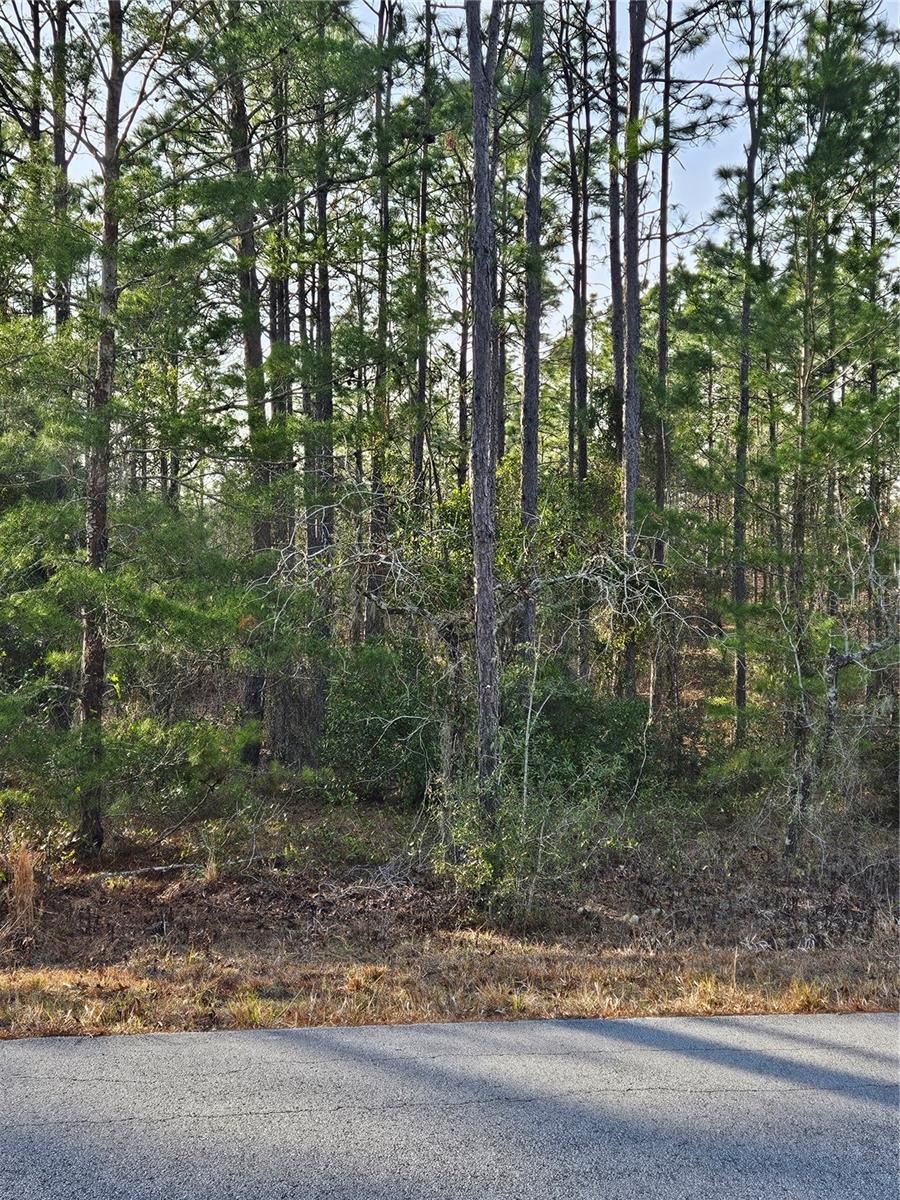 SW ADMIRAL LANDING DR., DUNNELLON, FL — photo 4