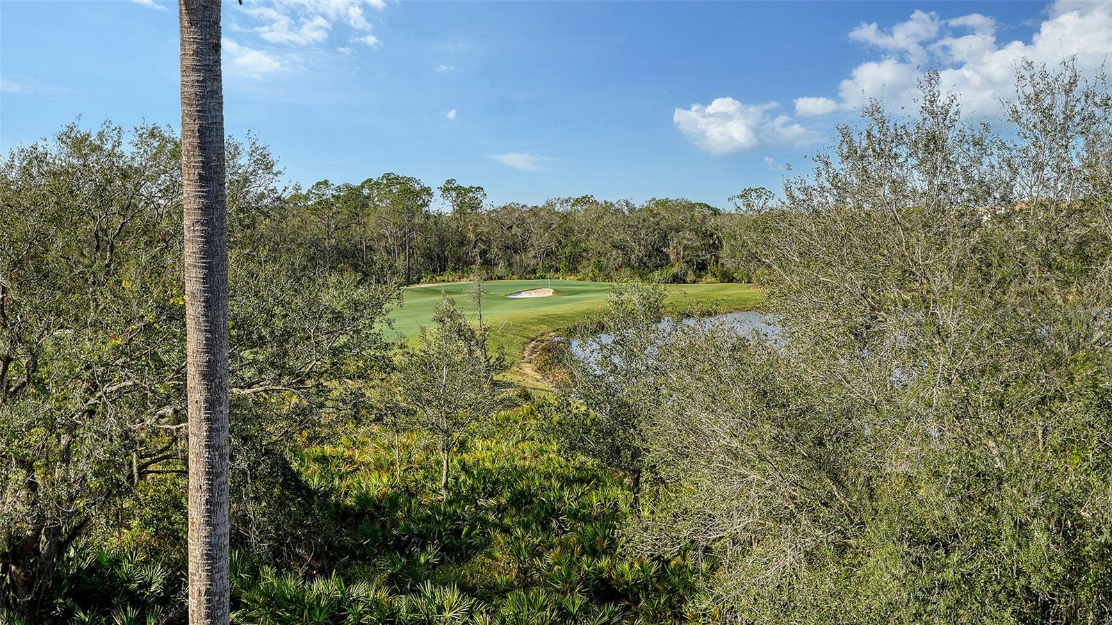 17510 GAWTHROP DR #308, BRADENTON, FL — photo 36