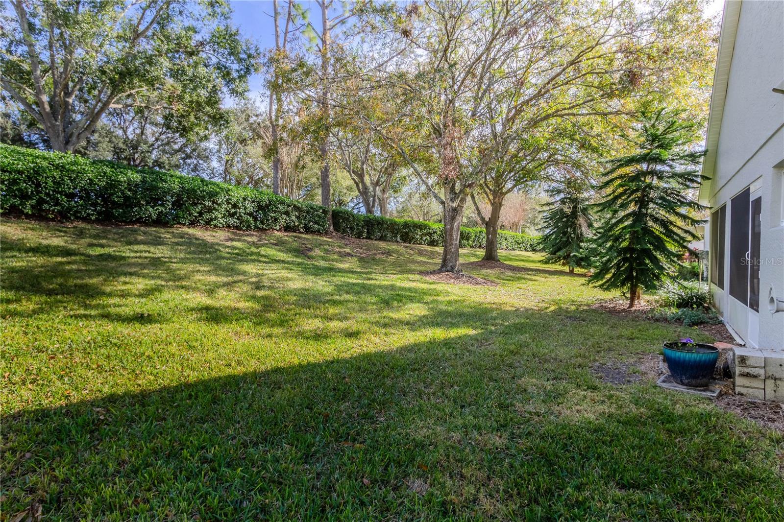 3667 KINGSWOOD CT, CLERMONT, FL — photo 48