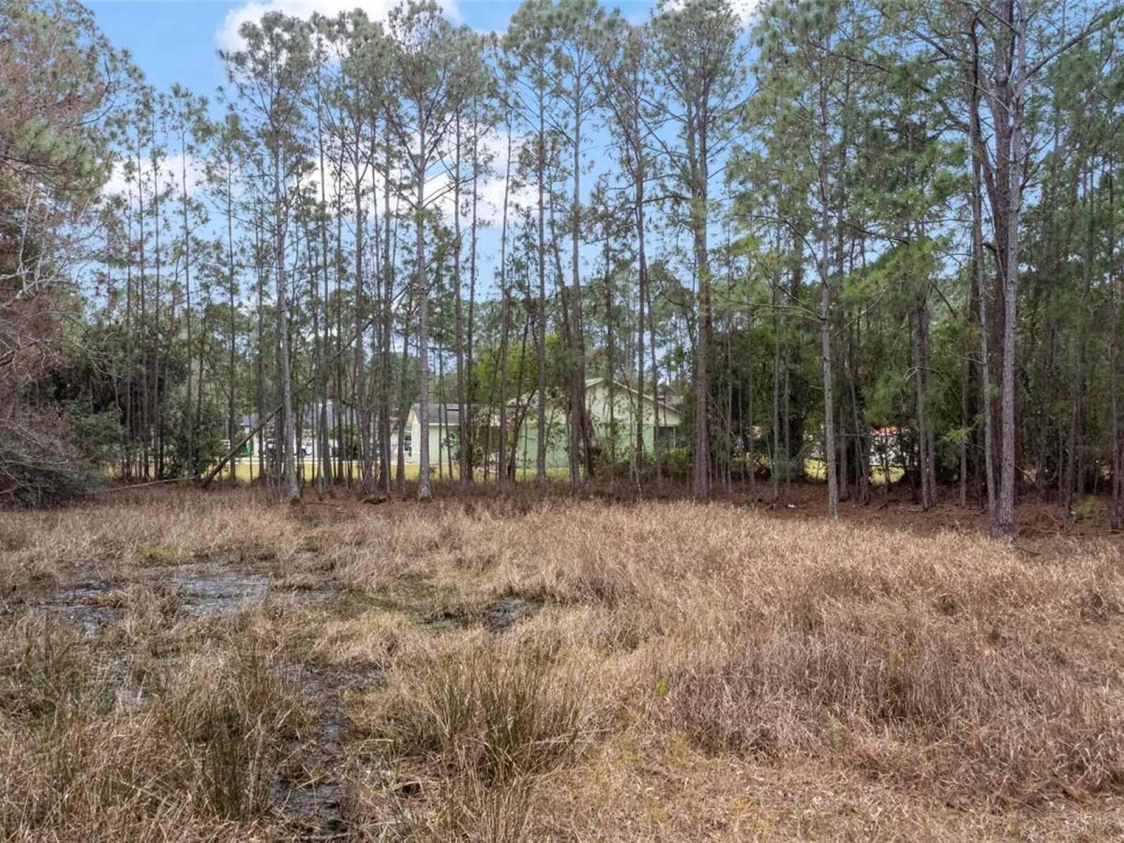 SANCTUARY AVE, DEBARY, FL — photo 2