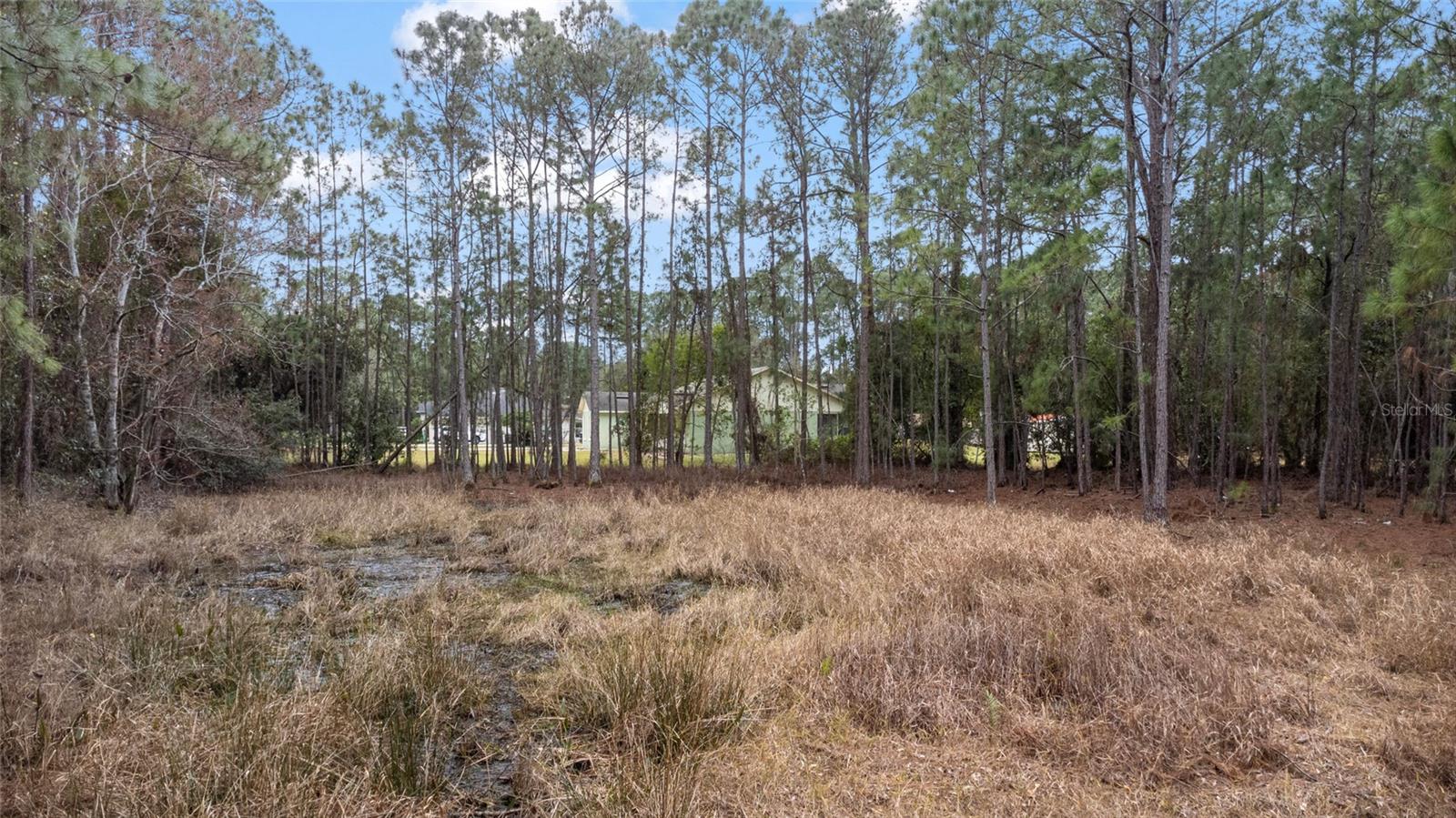 SANCTUARY AVE, DEBARY, FL