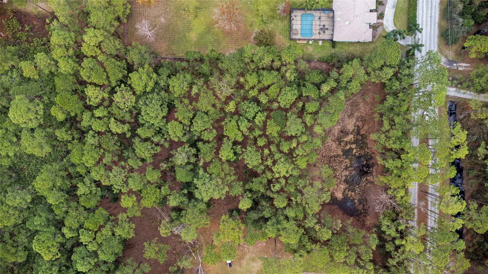 SANCTUARY AVE, DEBARY, FL — photo 15