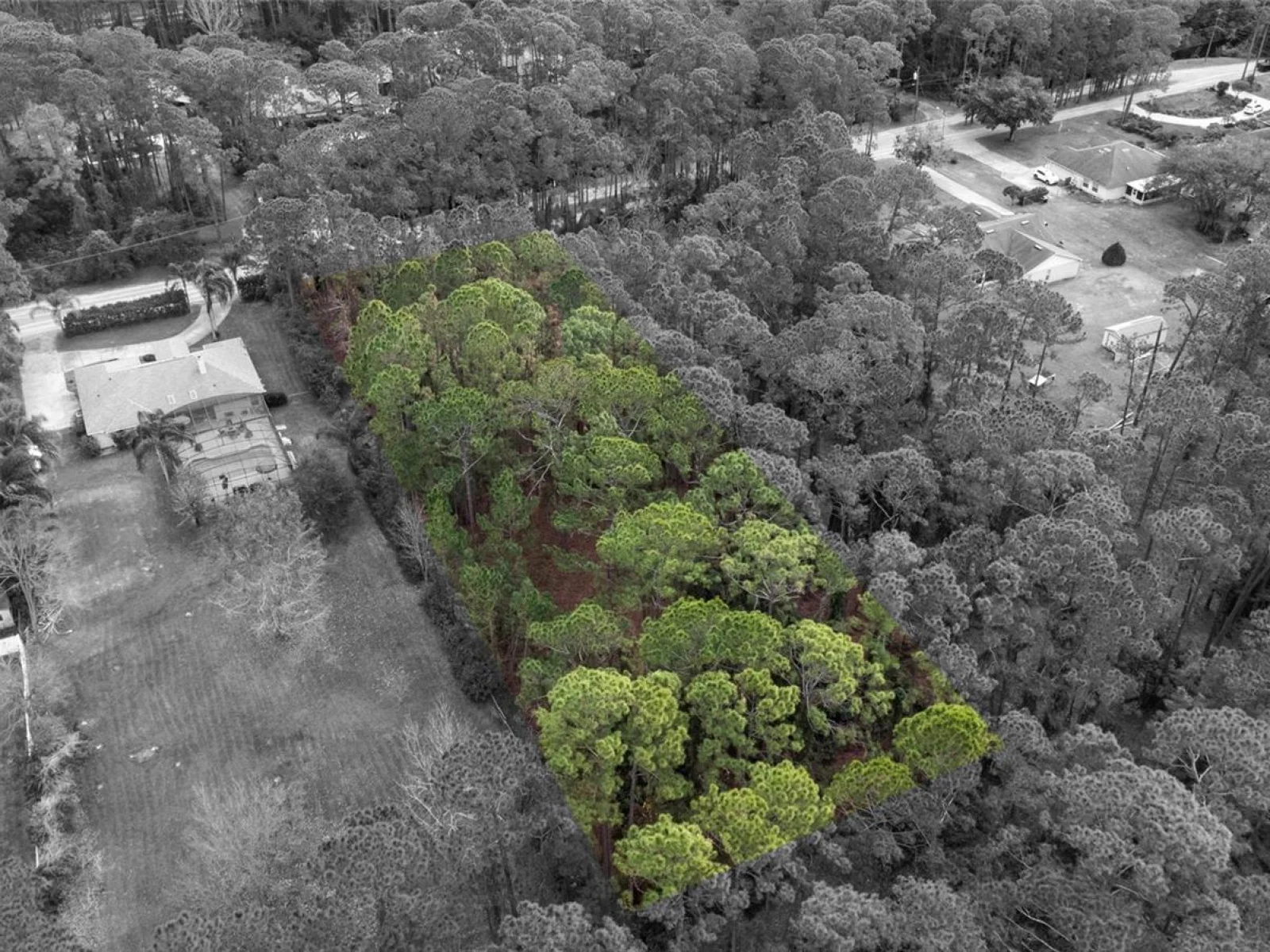 SANCTUARY AVE, DEBARY, FL — photo 30