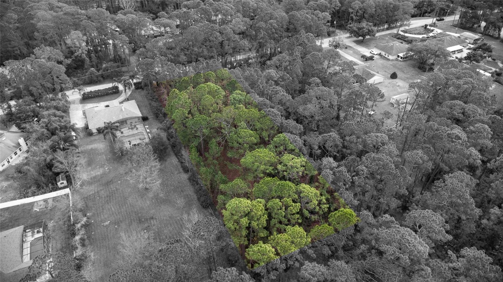 SANCTUARY AVE, DEBARY, FL — photo 29