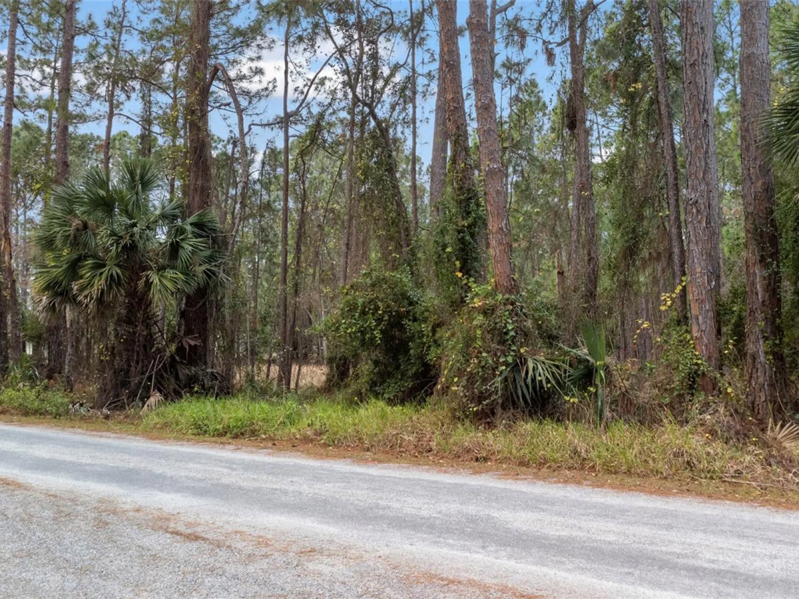 SANCTUARY AVE, DEBARY, FL — photo 32