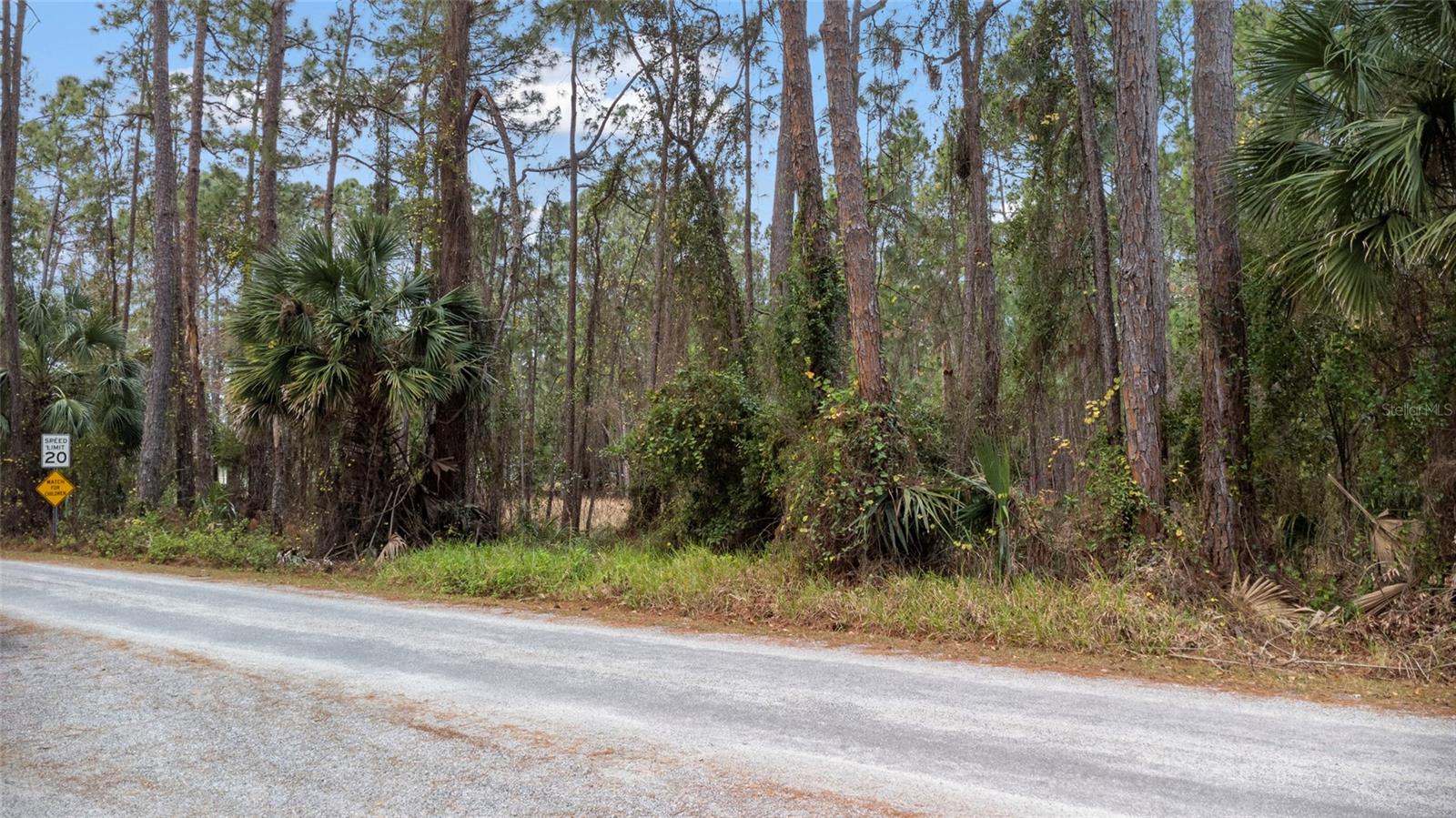 SANCTUARY AVE, DEBARY, FL — photo 31