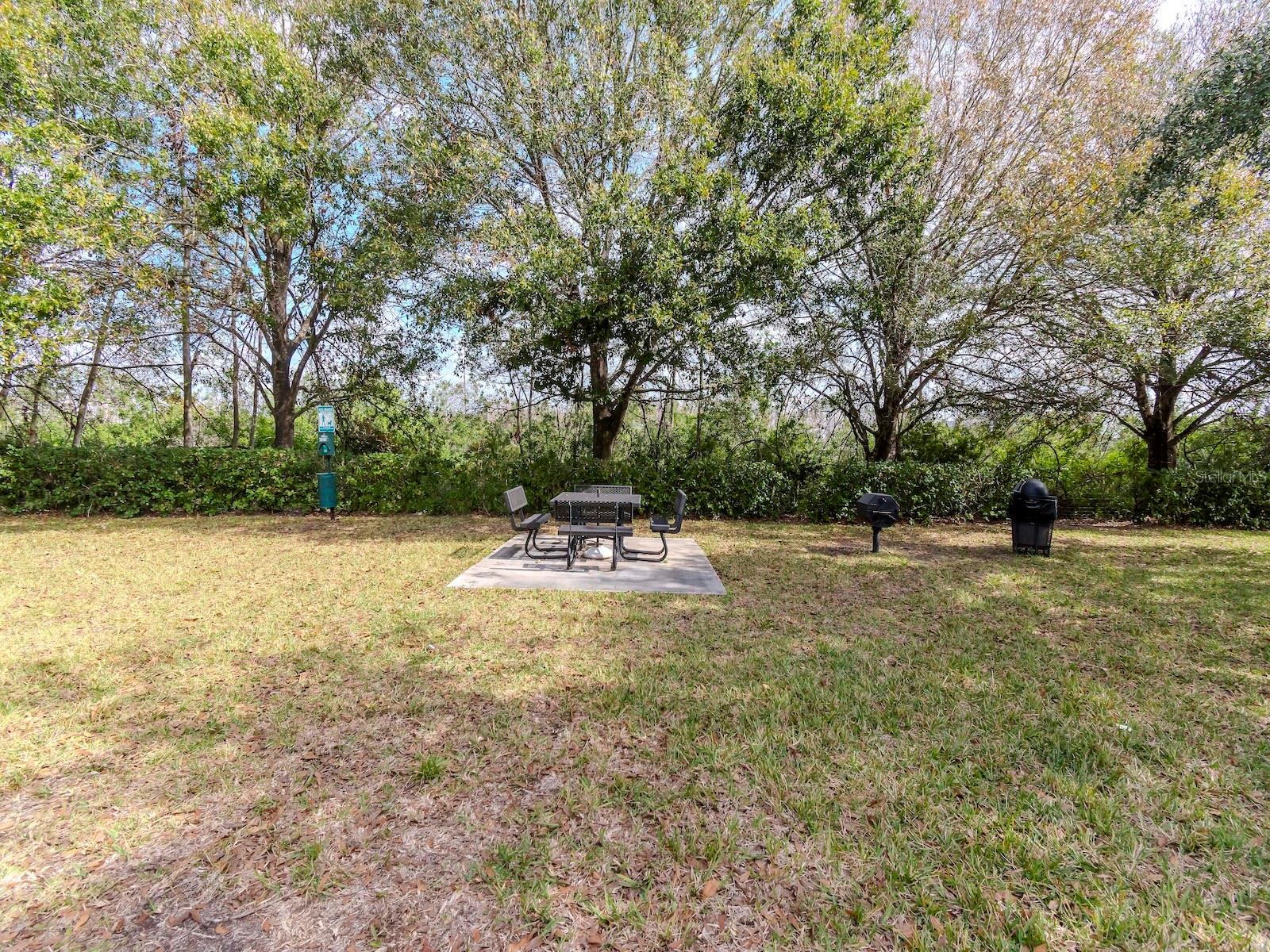1429 VILLA CAPRI CIR #306, ODESSA, FL — photo 29