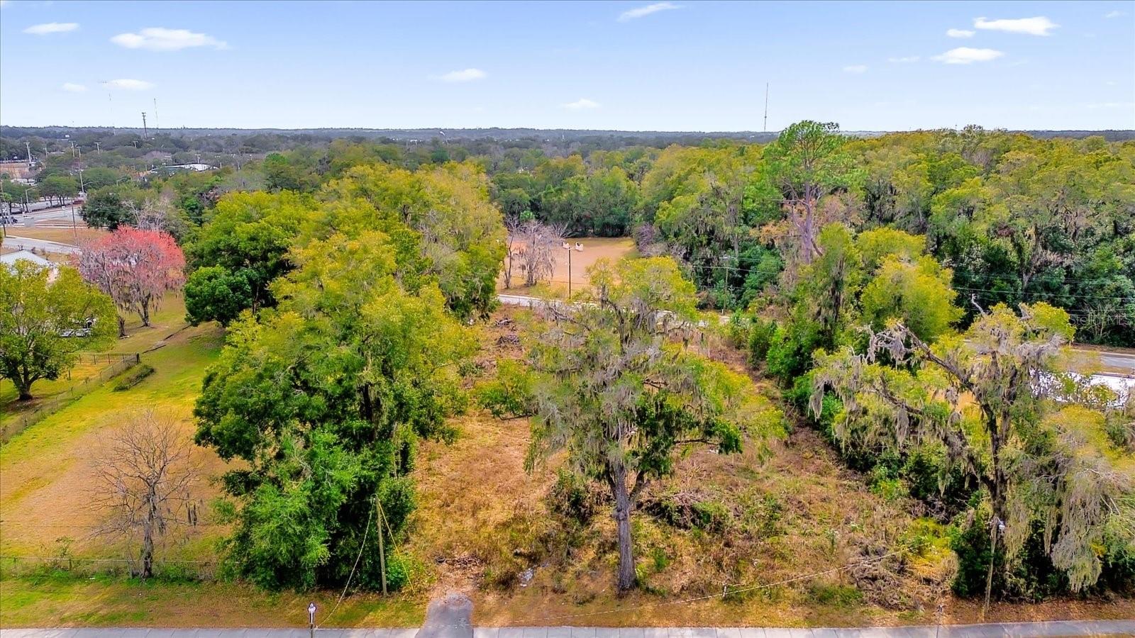 1650 NW 7TH ST, OCALA, FL — photo 35