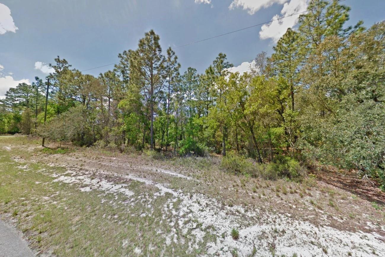 000 MARION OAKS PASS, OCALA, FL — photo 3
