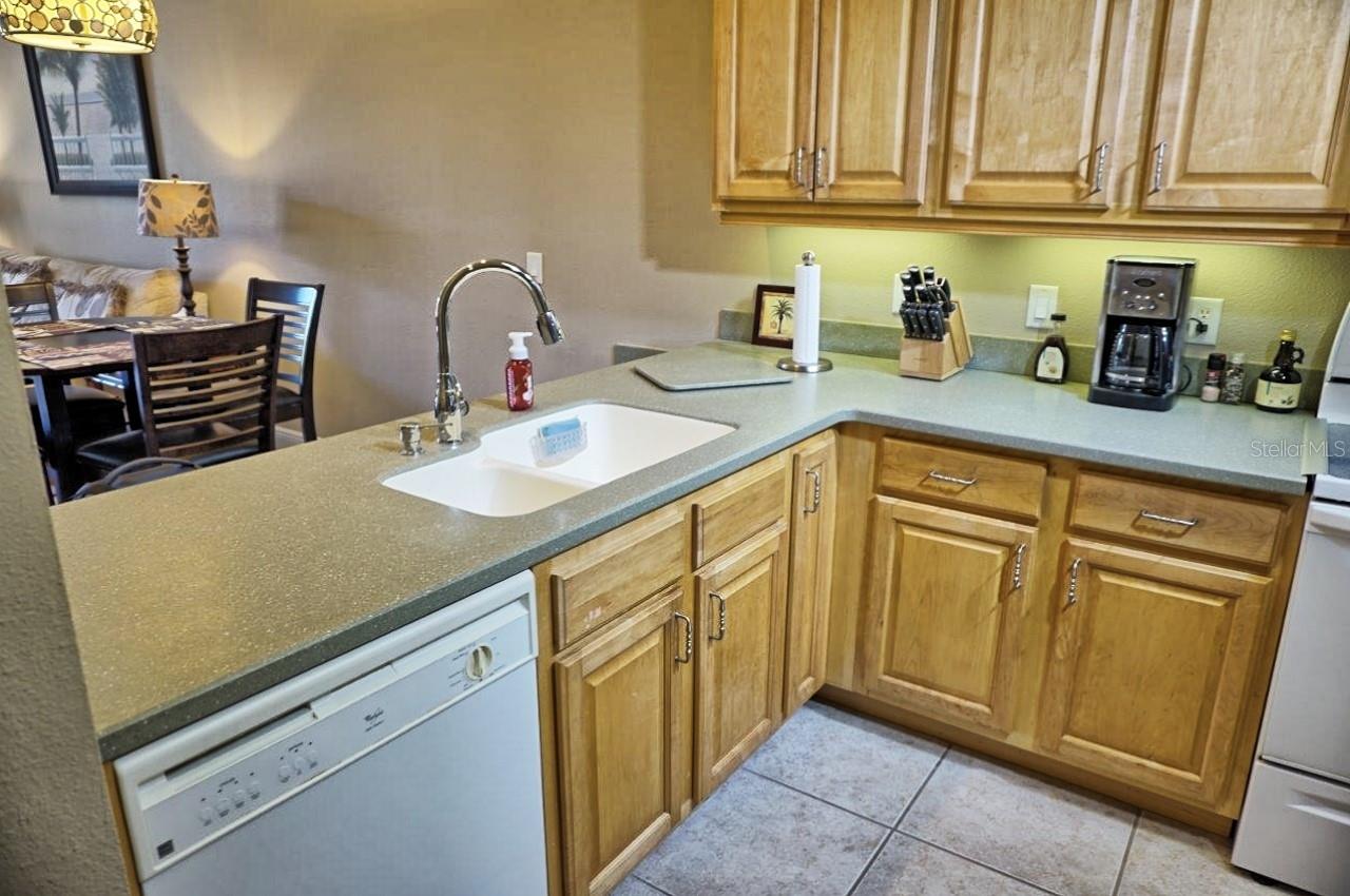 6801 DALI AVE #G104, LAND O LAKES, FL — photo 11