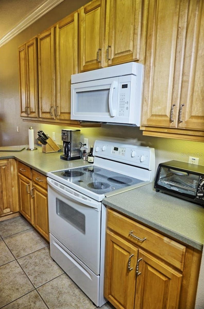 6801 DALI AVE #G104, LAND O LAKES, FL — photo 13