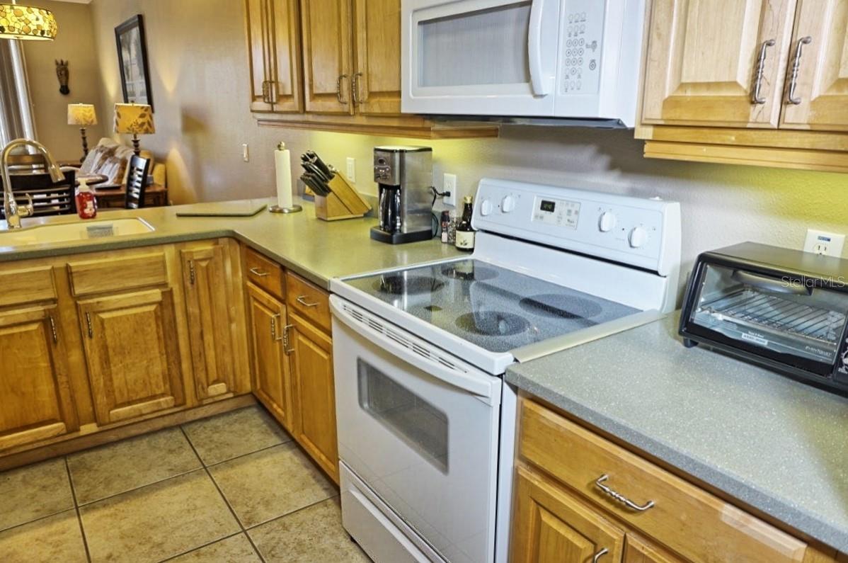 6801 DALI AVE #G104, LAND O LAKES, FL — photo 14