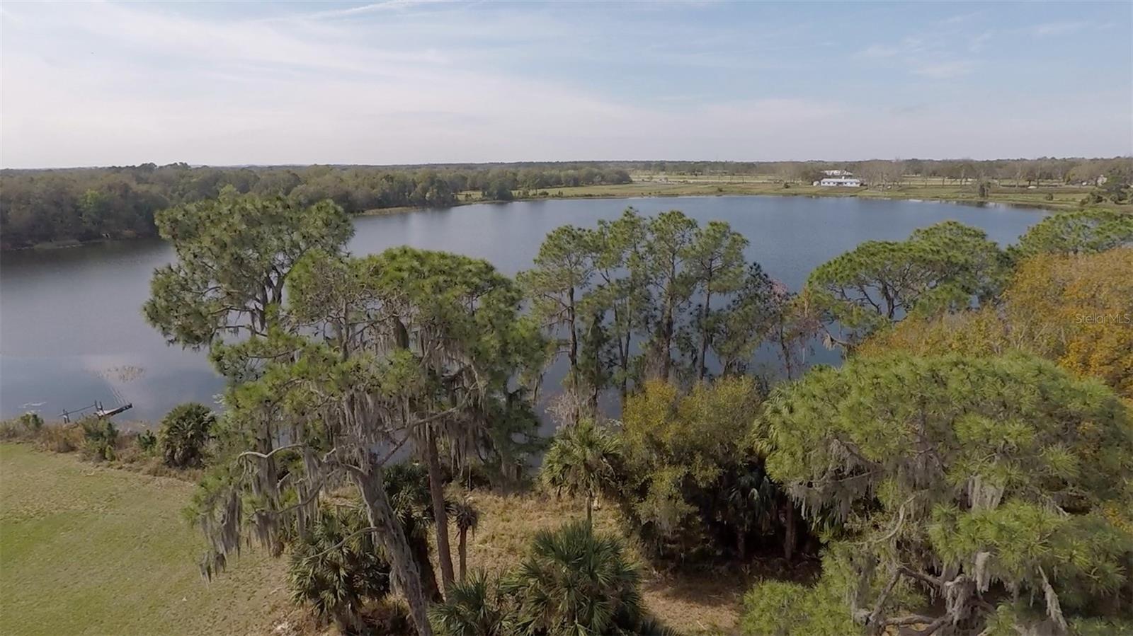 3412 LAKE DIANE RD, TAVARES, FL — photo 7