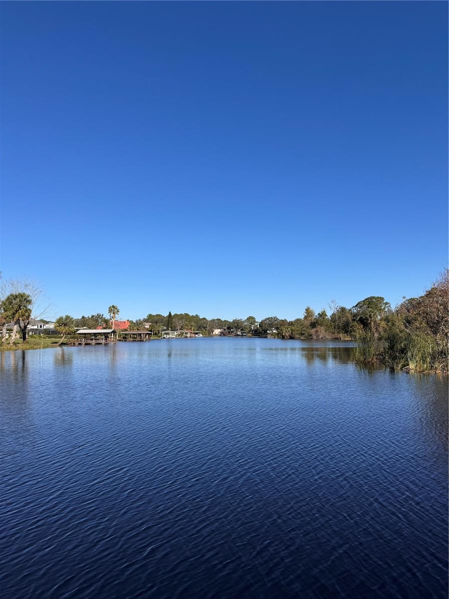3412 LAKE DIANE RD, TAVARES, FL — photo 28