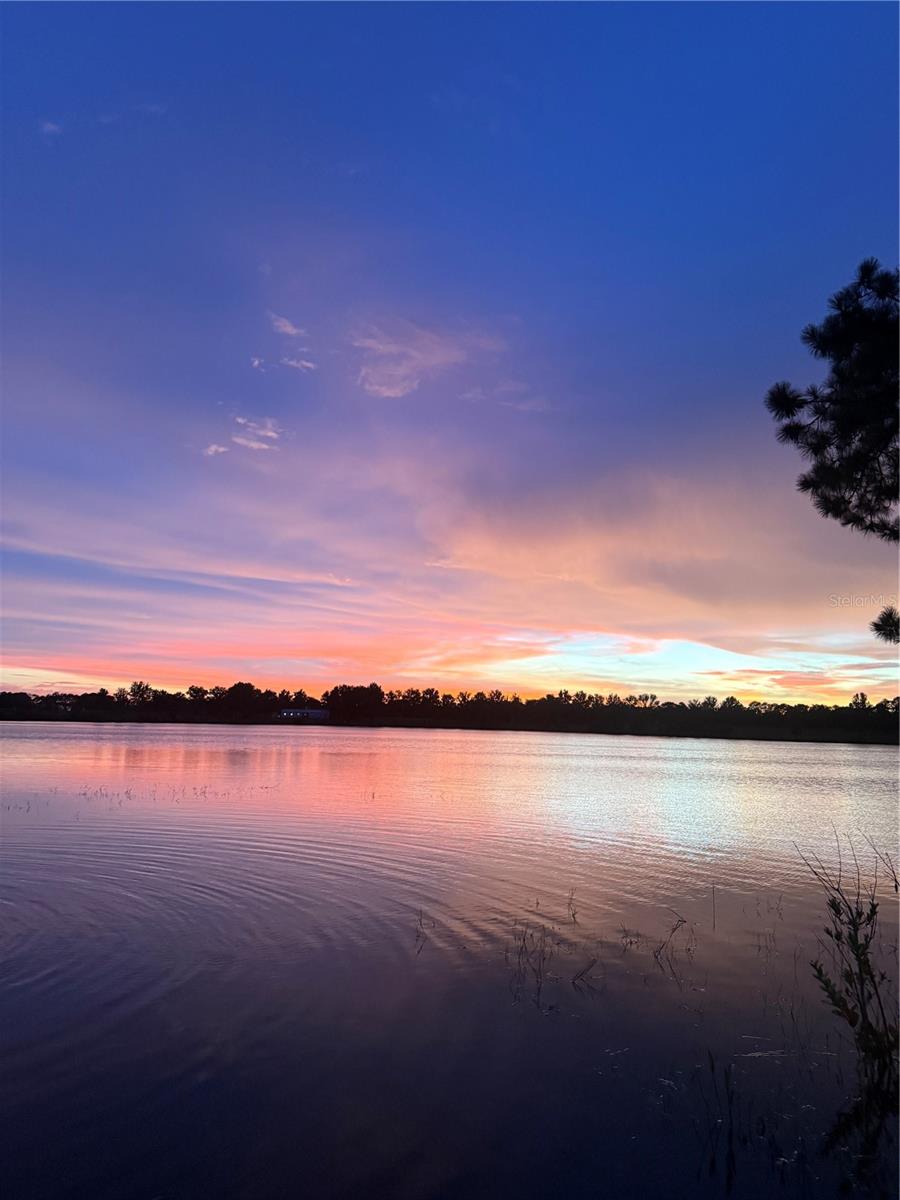 3412 LAKE DIANE RD, TAVARES, FL — photo 18