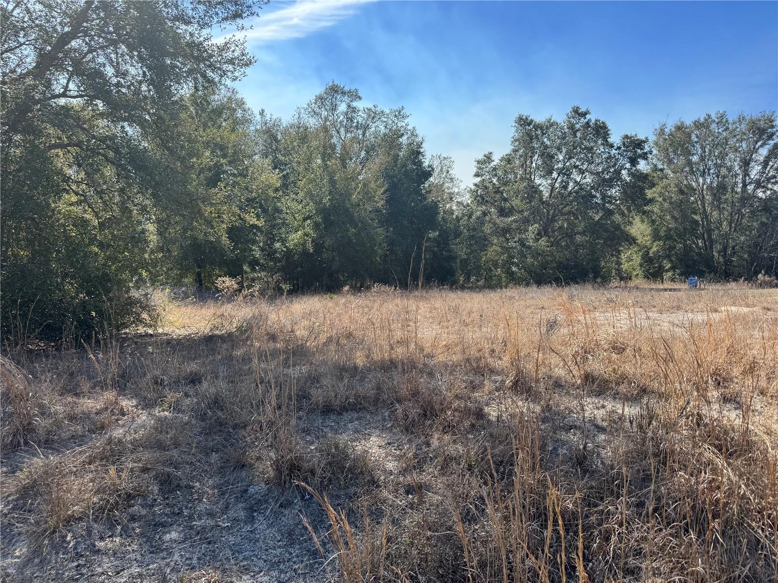 Lot 5 SW 108TH ST, DUNNELLON, FL — photo 11