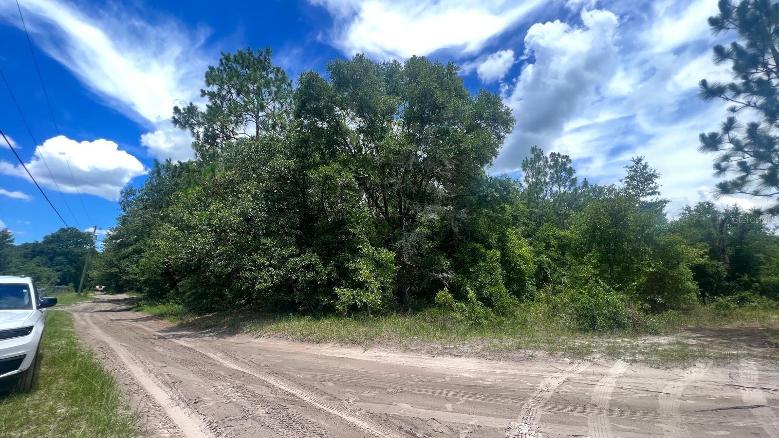 SW 156TH PL, DUNNELLON, FL