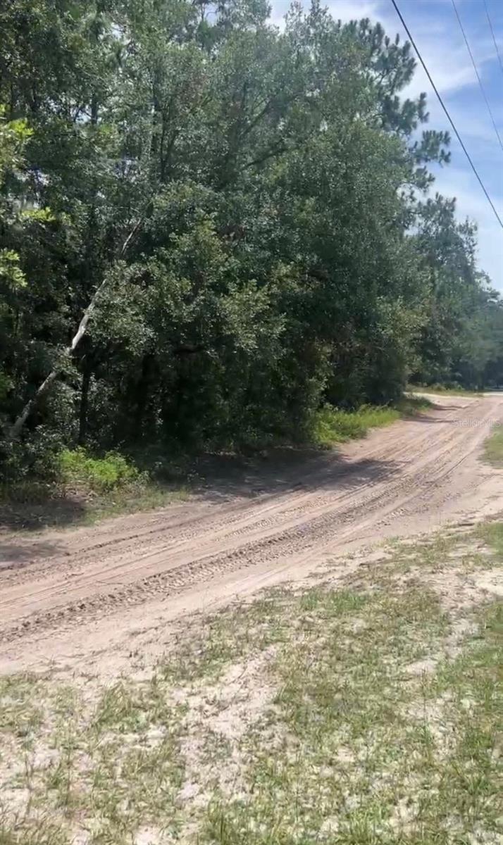 SW 156TH PL, DUNNELLON, FL — photo 2