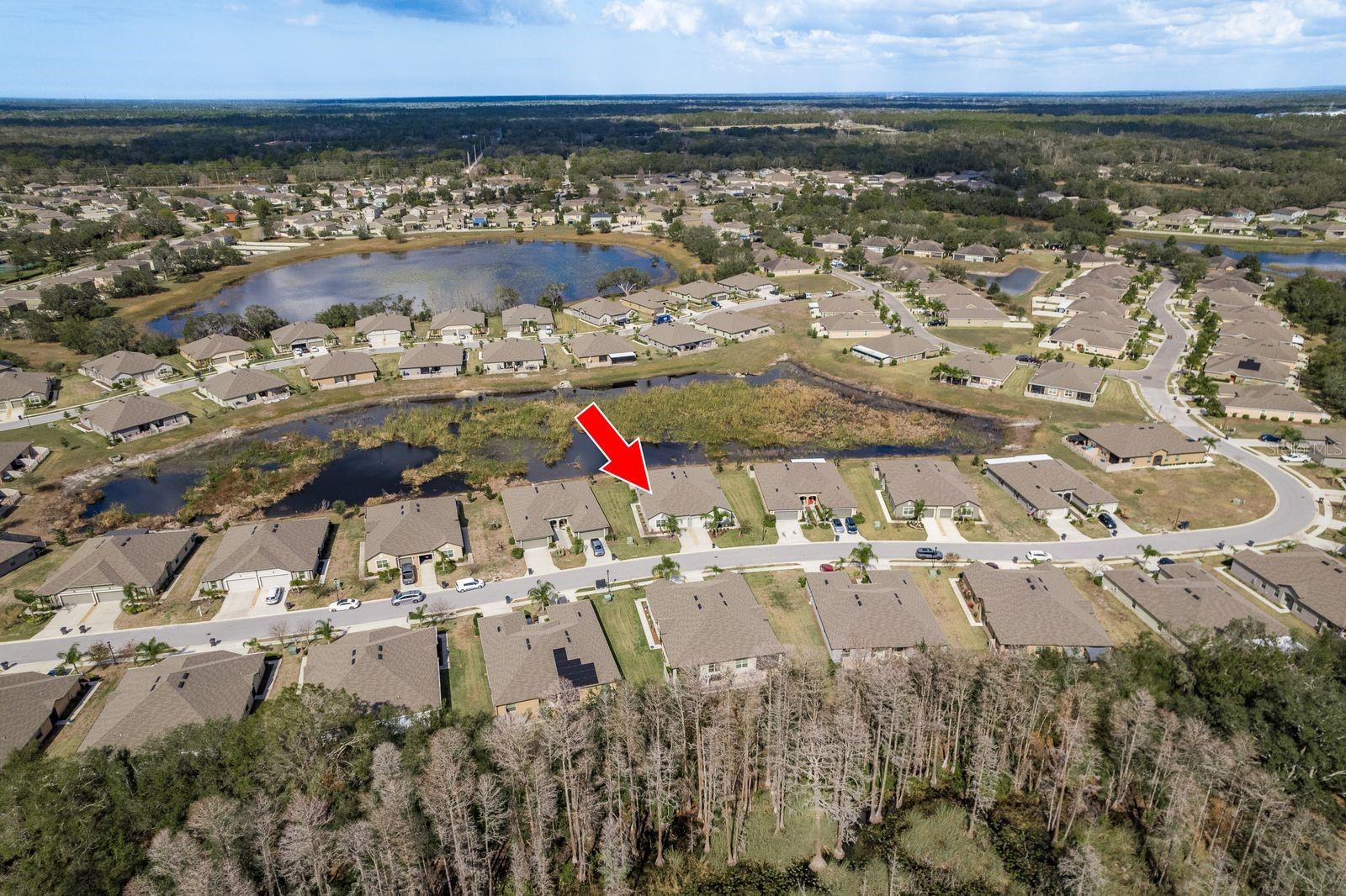 13387 CREST LAKE DR, HUDSON, FL — photo 4
