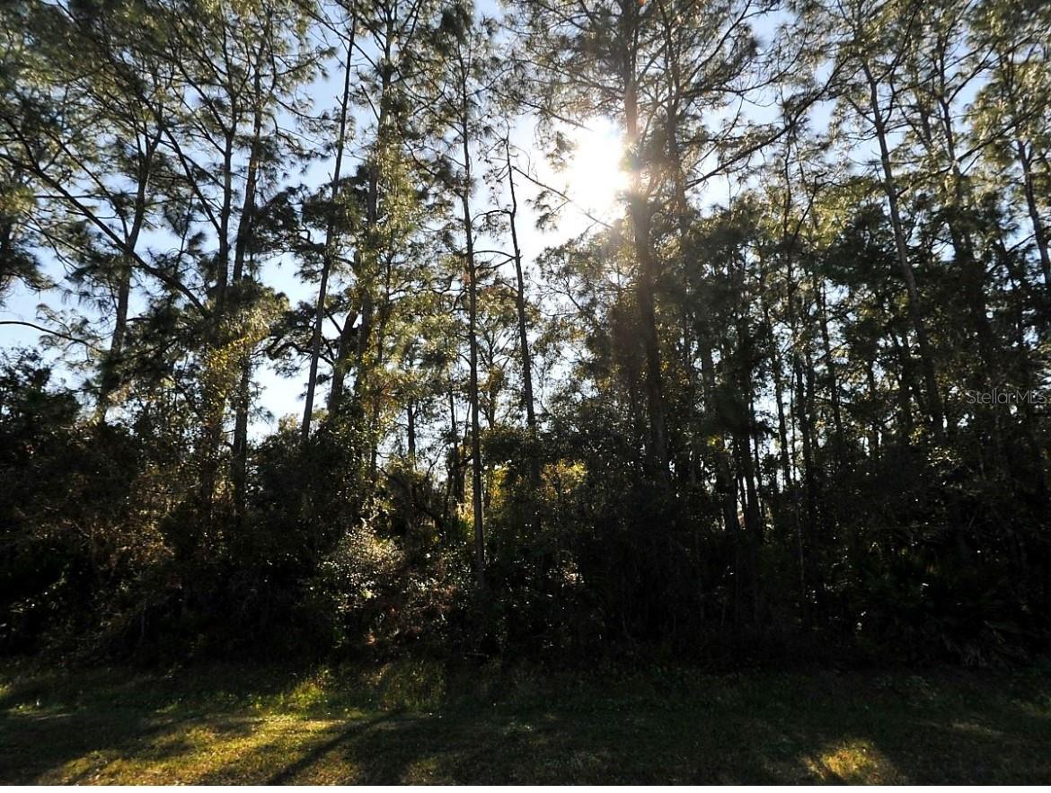 N CRANBERRY BLVD, NORTH PORT, FL — photo 3