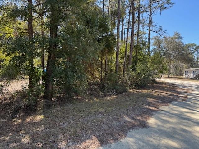10220 W OHIO DR, CRYSTAL RIVER, FL — photo 2